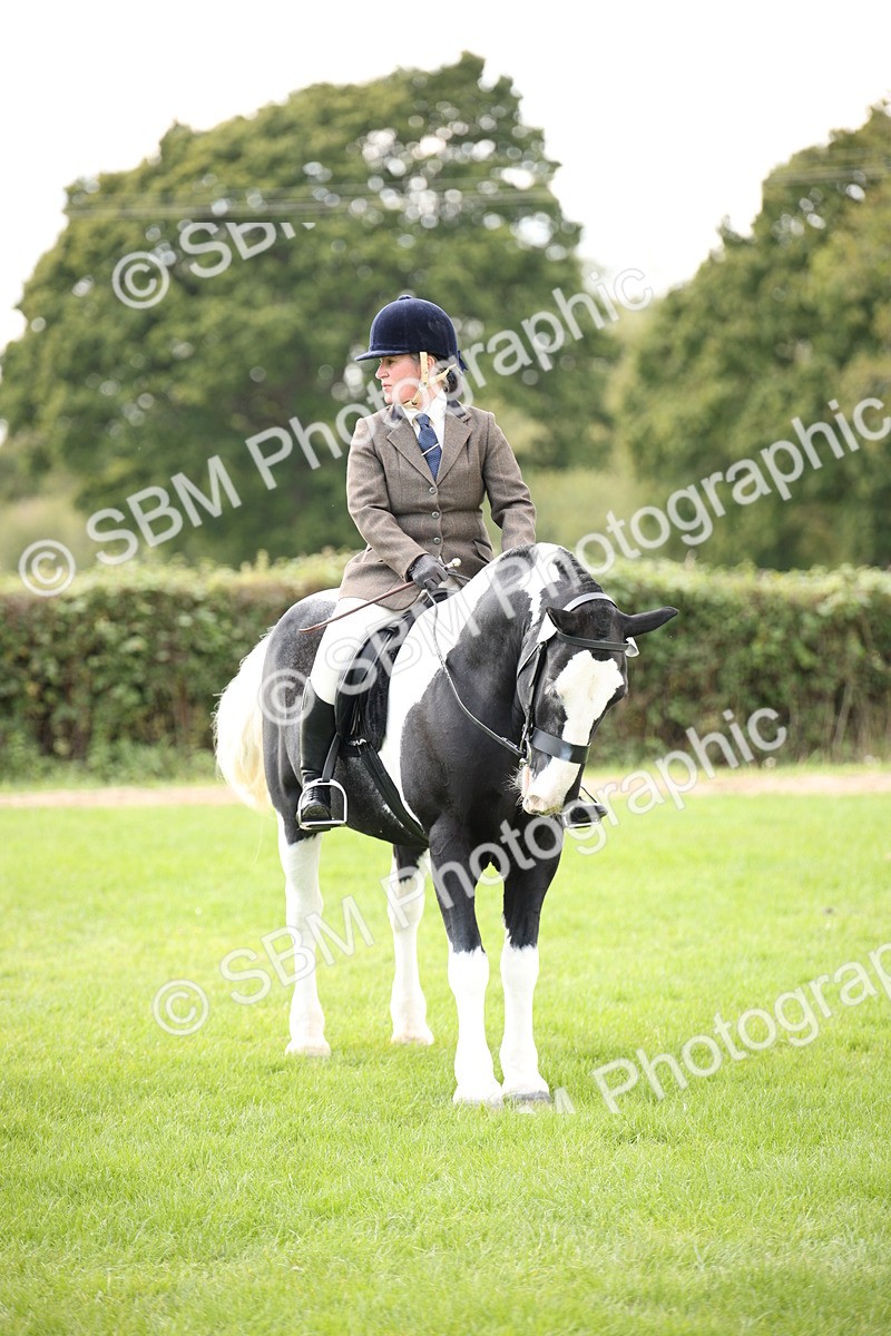 SBM_49999 - S26 - Young Veteran - Ridden