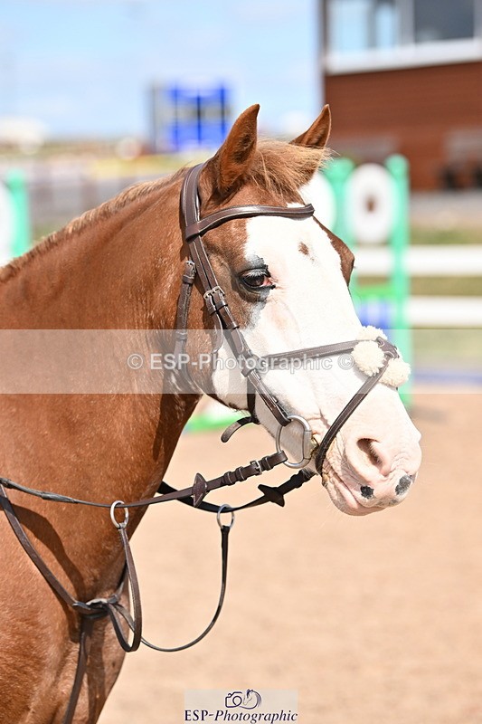 250821B-145634-00893 - Group D - Thomasina