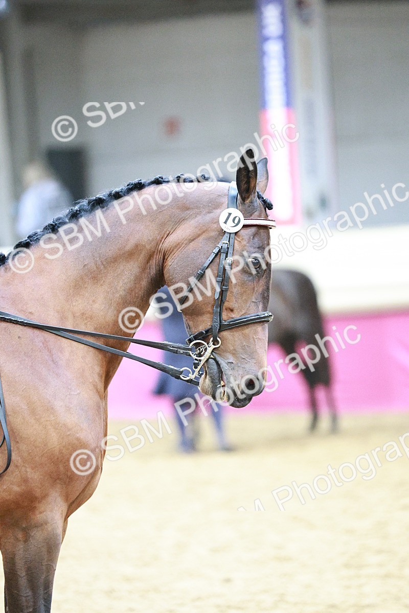 SBM_03403 - Class 6A Area Ridden Pre-Vet