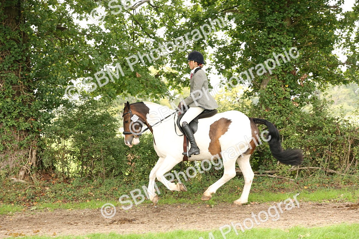 SBM_66337 - S66 - Hunter Ridden
