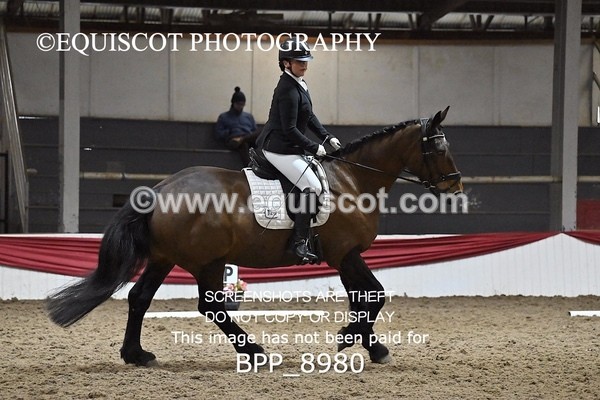 BPP_8980 - NOVICE 6