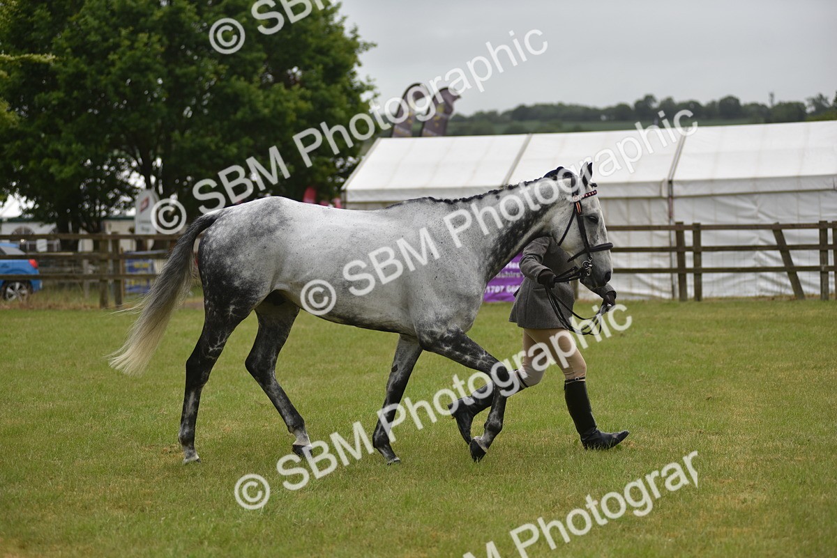 SBM_10663 - Class 109 - Retraining of Racehorses in Hand