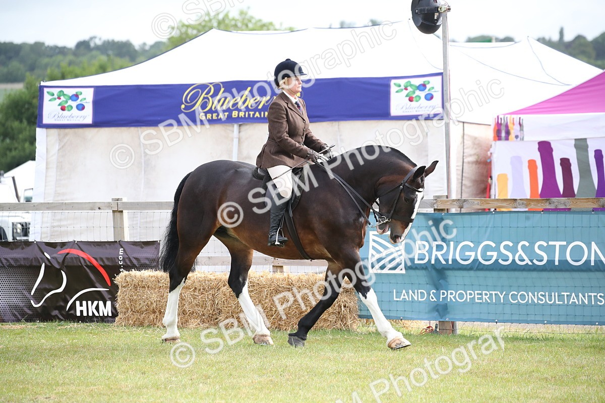 SBM_11200 - Class 92-93 - LIHS BSHA Rising Star Cobs