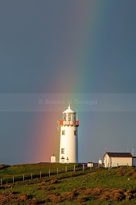MF2_8614 - Fanad Lighthouse