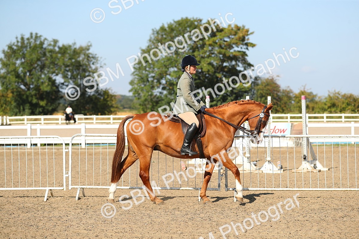 SBM_02182 - Class 43 Ridden Competition Horse/Pony