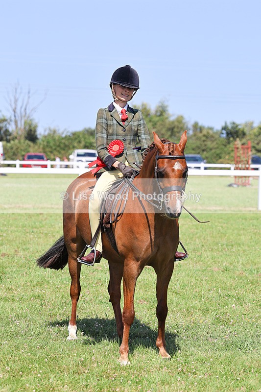 IMG_2062 - Class 34: Show Hunter Pony 153cm and under