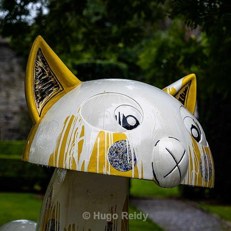  - Kilkenny Catwalk