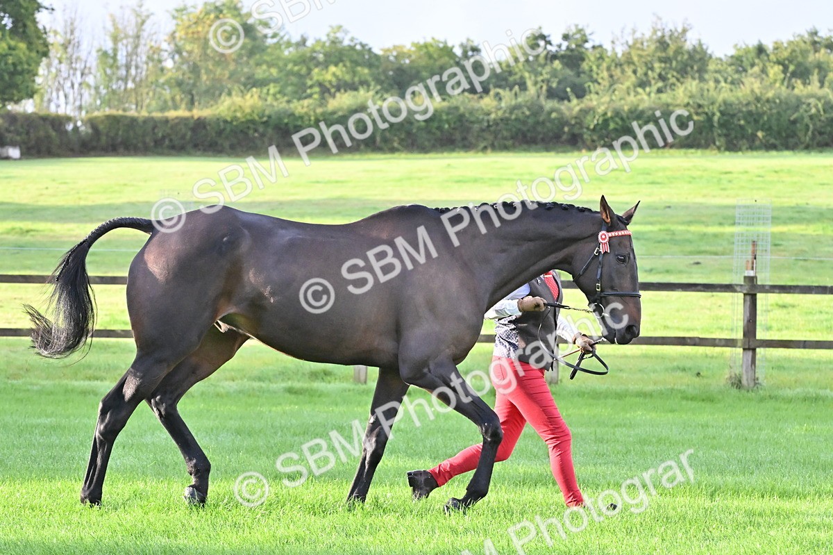 SBM_32587 - S15 - Top Turnout In Hand