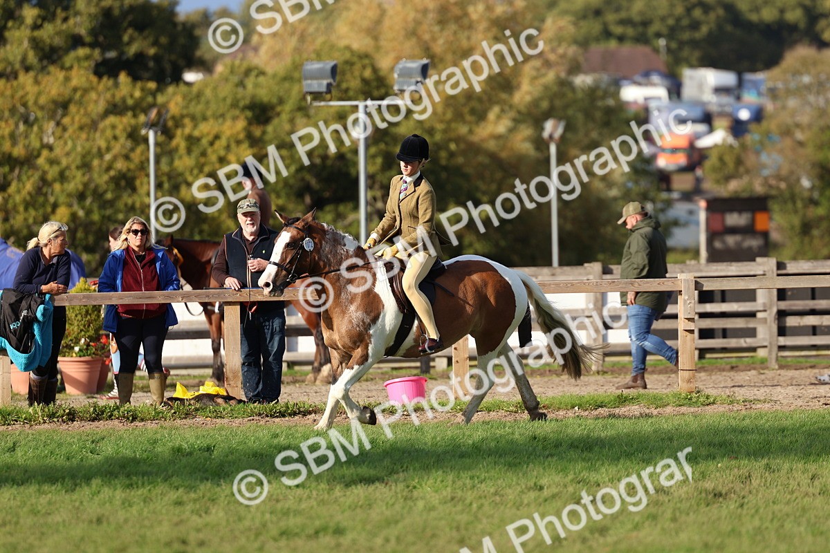 SBM_52501 - S13 - Pony Club Pony