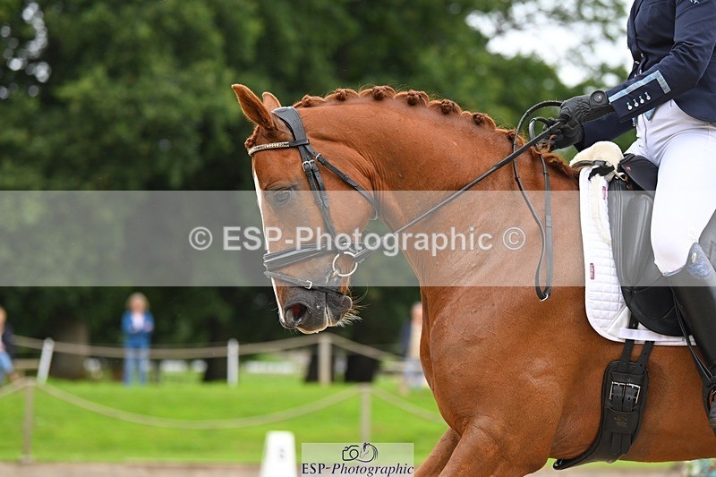 230813-115524-06755 - Cls 12 Elem Silver 10.35 to End