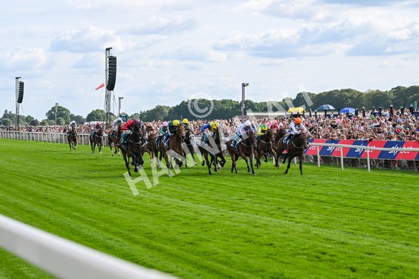 260725-Race 7-Chesneys Charm-7939 - Race 7 5.00pm Sky Bet Extra Places Every Day Handicap