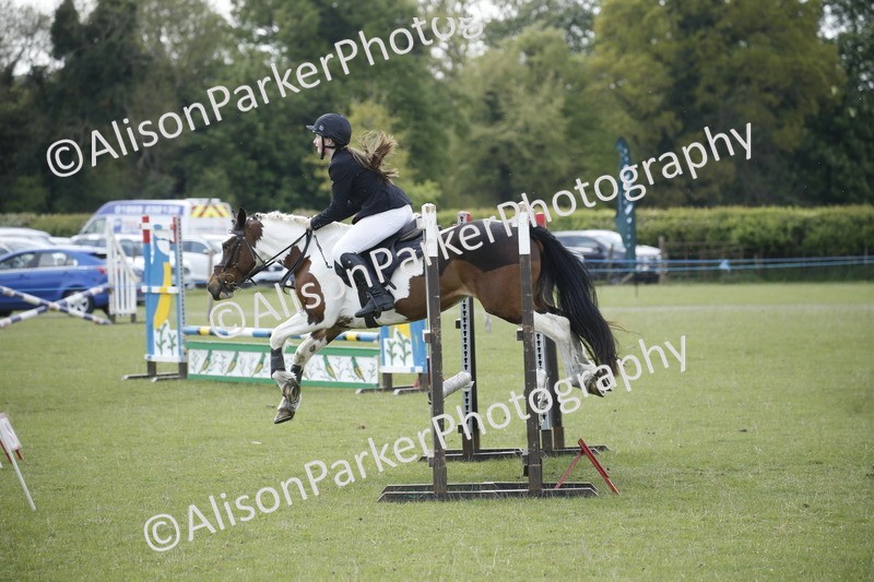 20250427-3716 - Class 14 - Absolute Novice 70cm