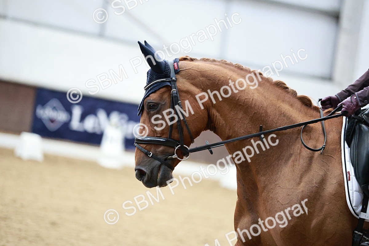 SBM_000085 - Class 1 - Prelim 6 Gold - 10.00-11.10
