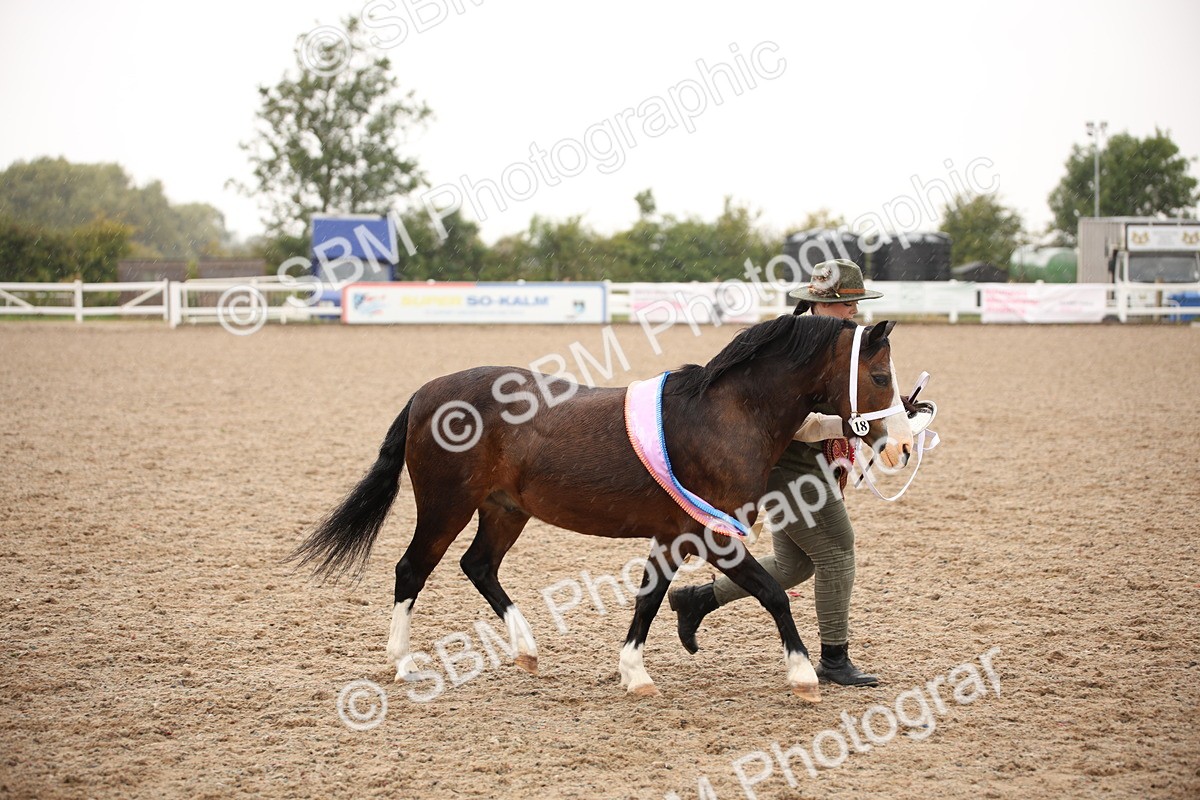 SBM_20262 - Class 704 - IH Rescue