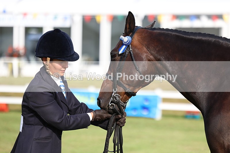 3E7A7864 - Class 1: Rising Star Small Hack/Riding Horses