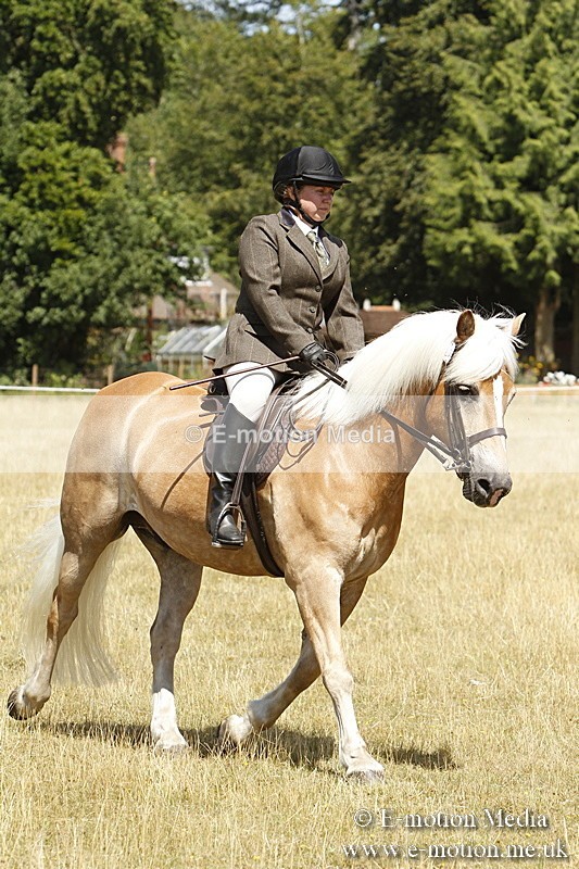 _BS_0808 - BVRC Show 2018 Ring 1