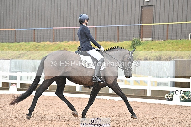 250215-133100-03876 - 165-Elder.Klatzko-Dynasty.Hit