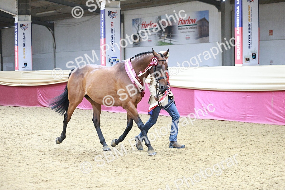 SBM_06672 - Regional - IH Champs