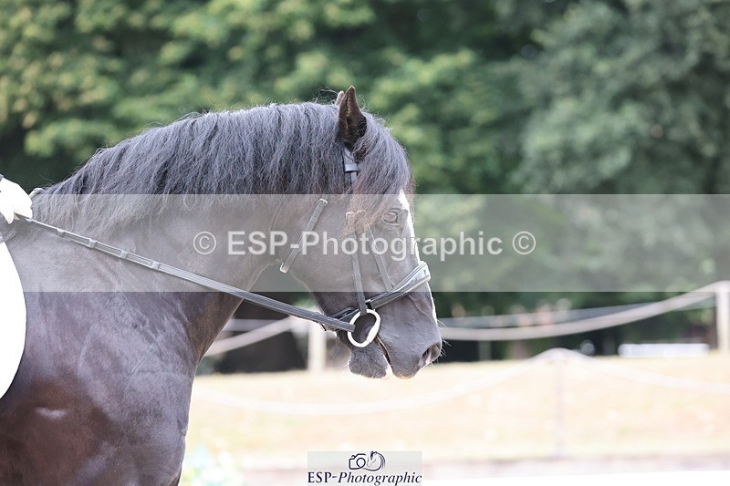 250718A-100113-00409 - 145-Amber.Heywood-Walena.Rockocoko