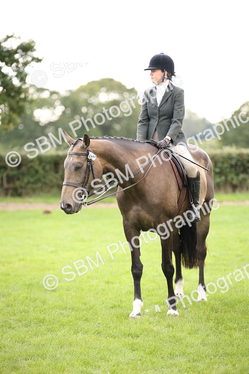 SBM_50002 - S26 - Young Veteran - Ridden