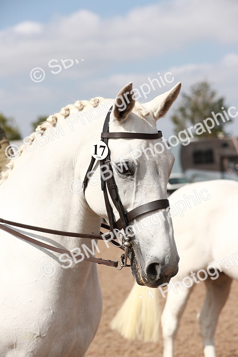 SBM_14873 - Class 212 Ridden Hunter - Small