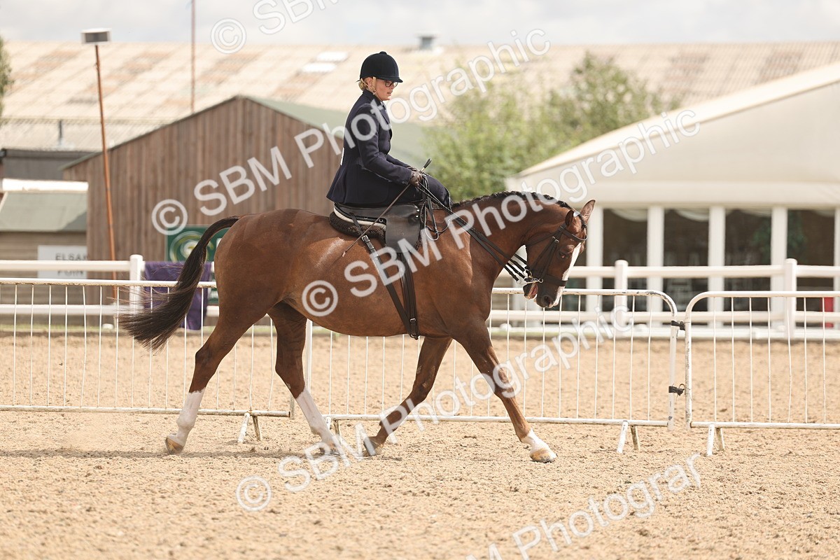 SBM_06353 - Class 22 - SSA - Equitation