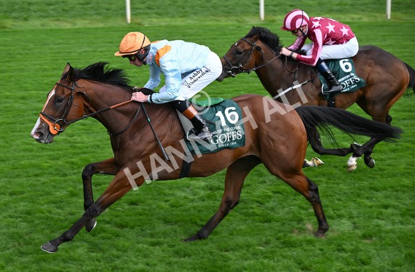 210825-047 Song Of The Clyde - Race 2 2.25pm Harry's Half Million By Goffs