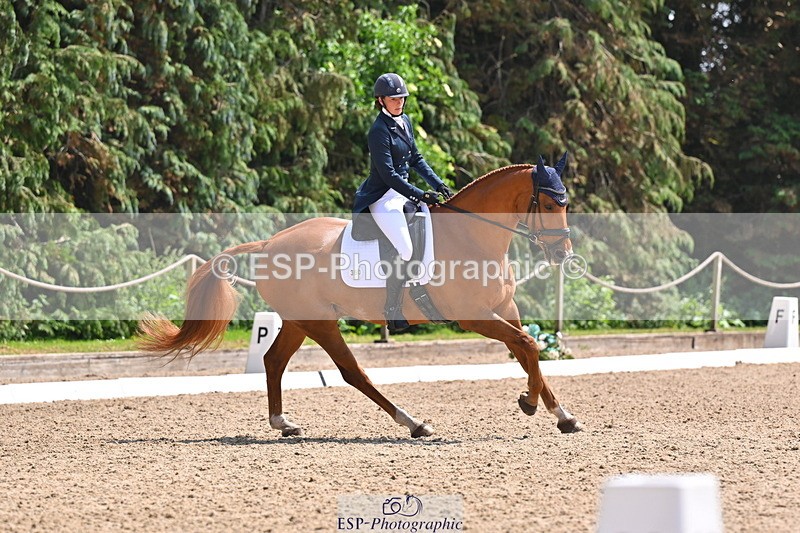 250523A-141533-07273 - B-360-Lucy.K.Wheeler-KING.CREOLE.VD.N.RANCH