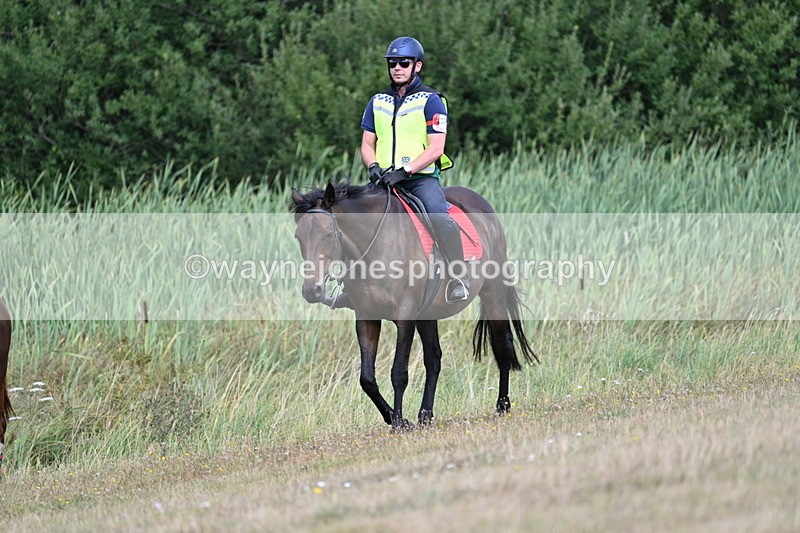 WJ7_5214 - Time 11:22 to 11:41