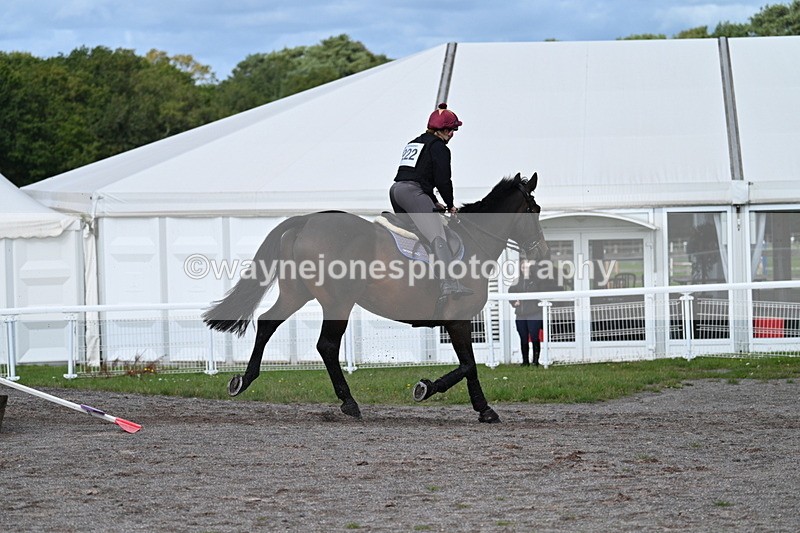 WJ7_0032 - Time 11:02 to 11:34