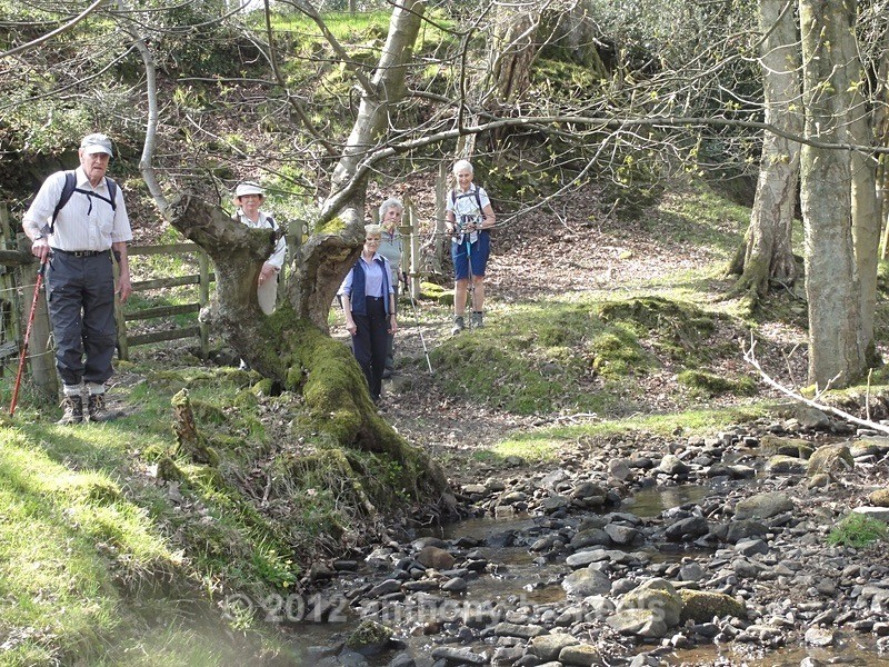 007 No empass today in Ellers Wood. - The Six Dales Trail Collection  2019