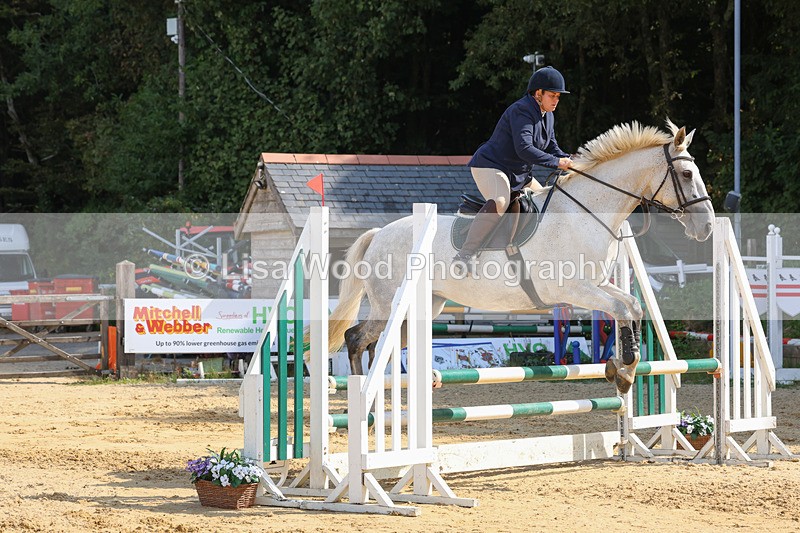 3E7A0711 - Class 4: Senior British Novice/90cm open