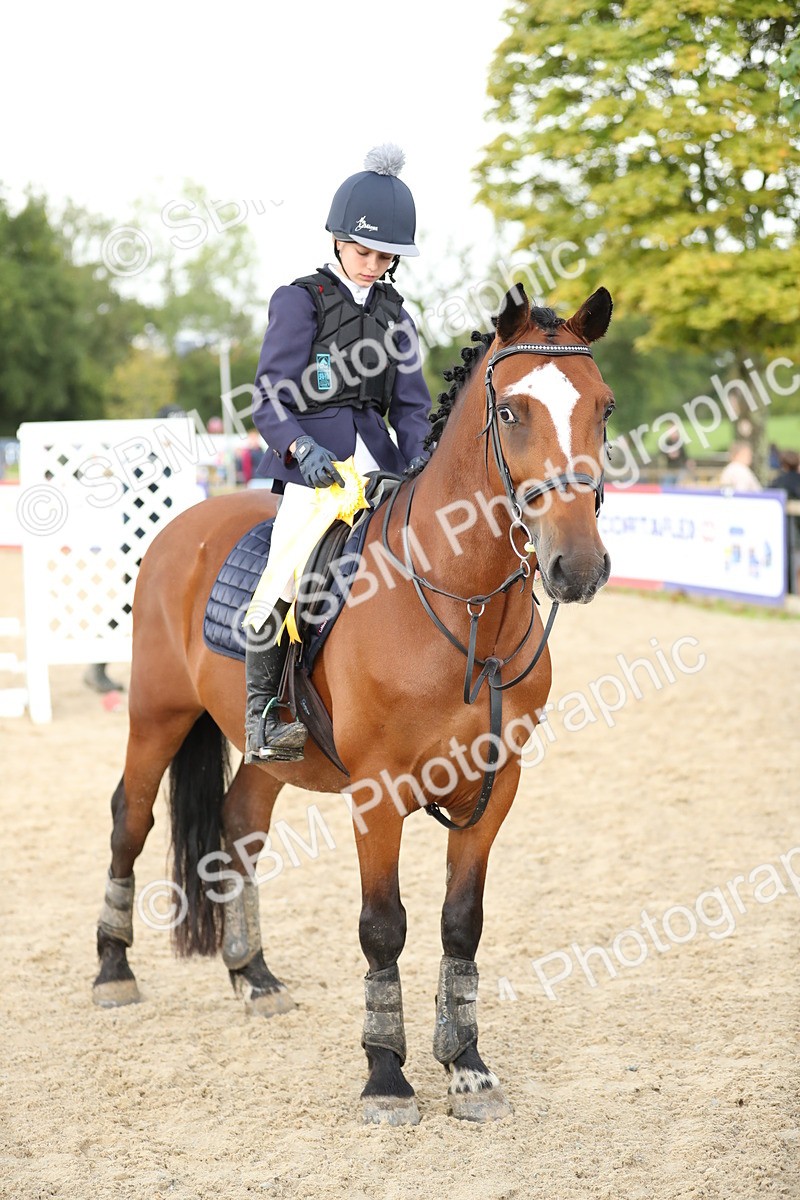 SBM_40510 - J21 - Junior Horse 60cm Championship