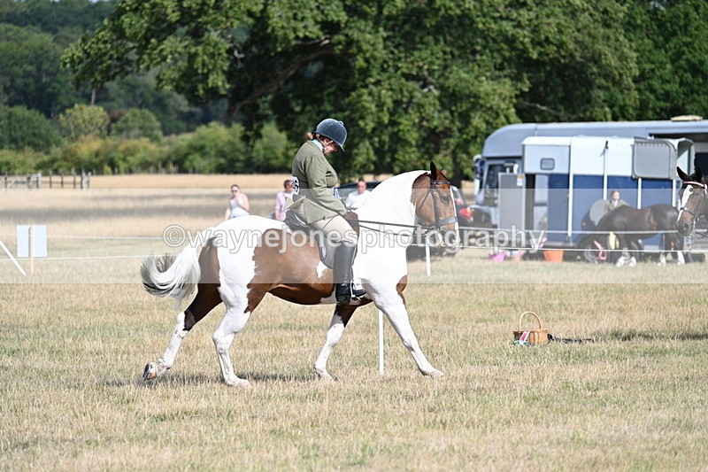 WJ7_7444 - Class 14 Ridden Coloured