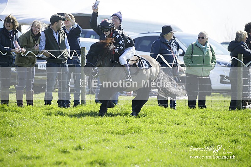 PtP 190322 85 - Wilton Hunt PtP Milborne St Andrew 19/03/22