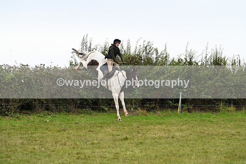 WJ7_4183 - Camera 1 Line 2