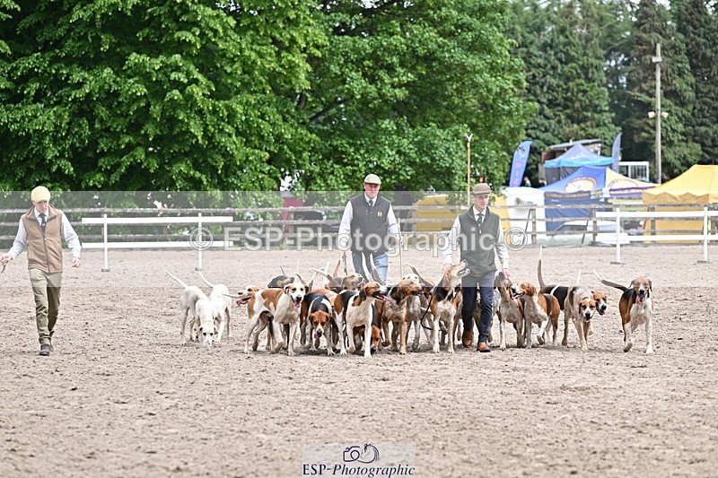 250524A-152204-12688 - East Devon Hounds