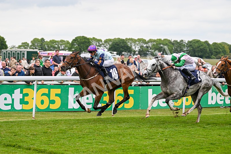 240525-Race 5-Mysteryofthesands-1570 - Race 5