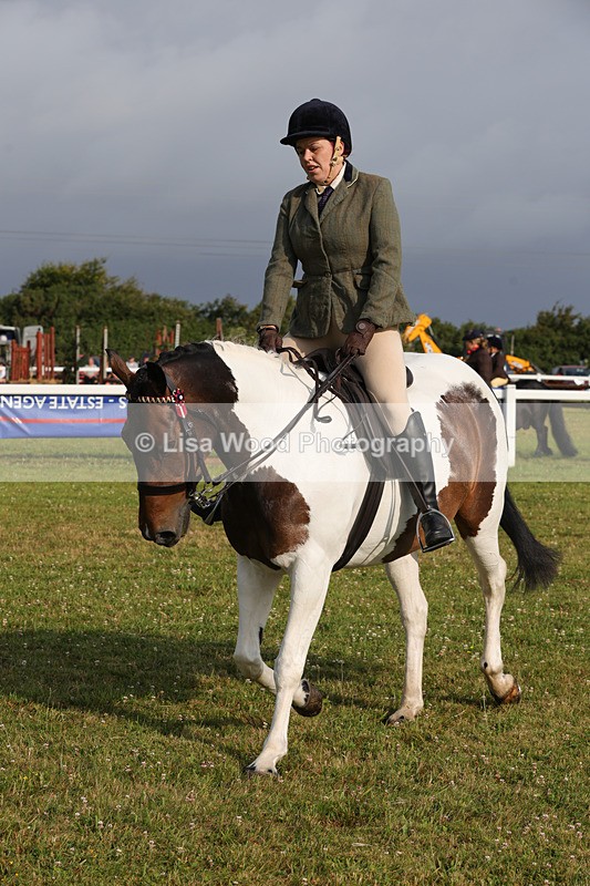 1X9A2916 - Class 25: Ridden Plaited Coloured Horse