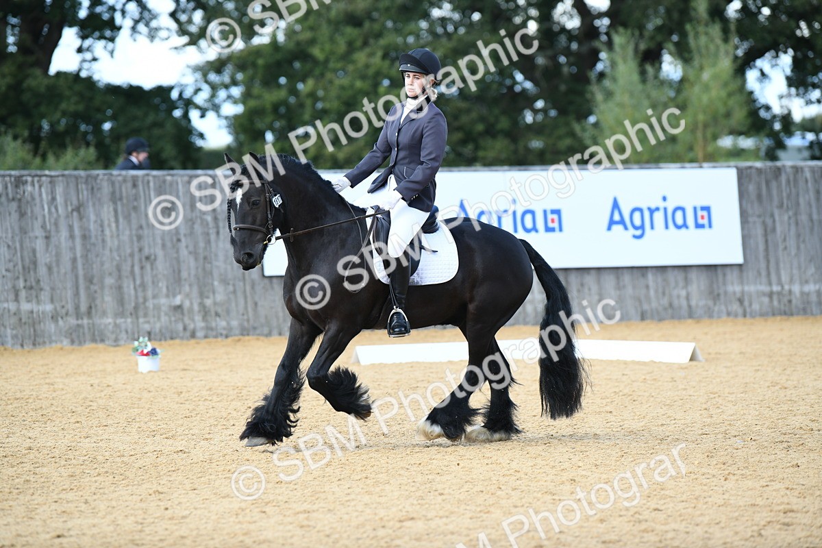 SBM_06616 - D15 Small Tour Championship Novice 24