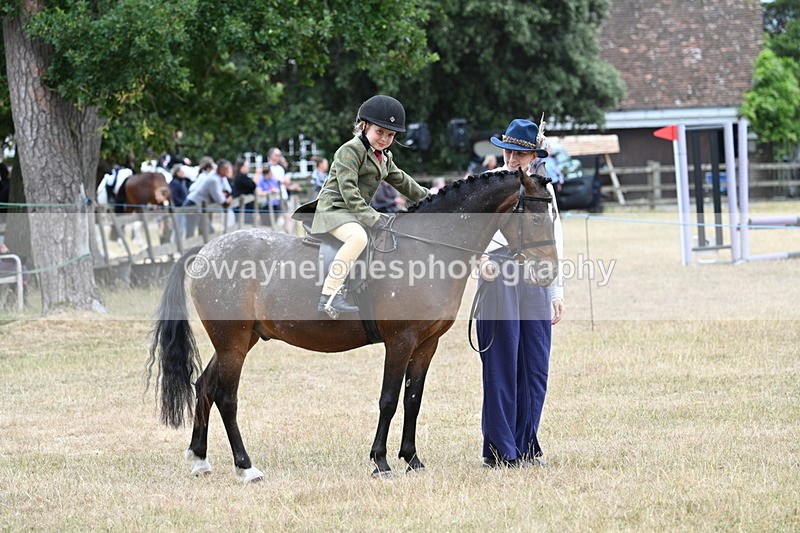 WJ7_0442 - Class 6 Ridden Mountain and Moorland