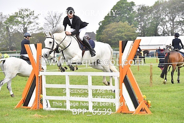 BPP_6539 - CLASS 1 Senior Newcomers/ 1.10m Open