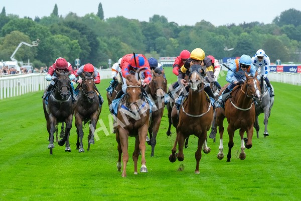 080925-Race 2-Alzahir-7871 - Race 2 3.00pm Sky Bet Super Sub Sprint Handicap