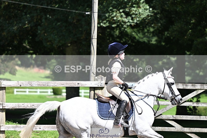 240729B-120506-02592 - Showjumping Competition