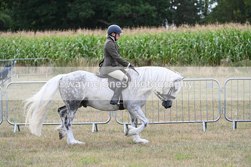 WJ7_5260 - Class 12 Ridden Cob