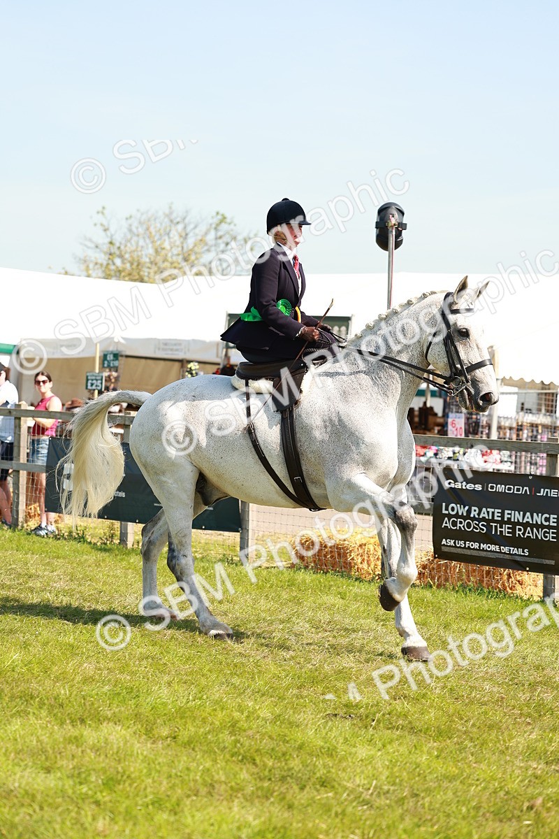 SBM_13295 - Class 70-71 - Side Saddle