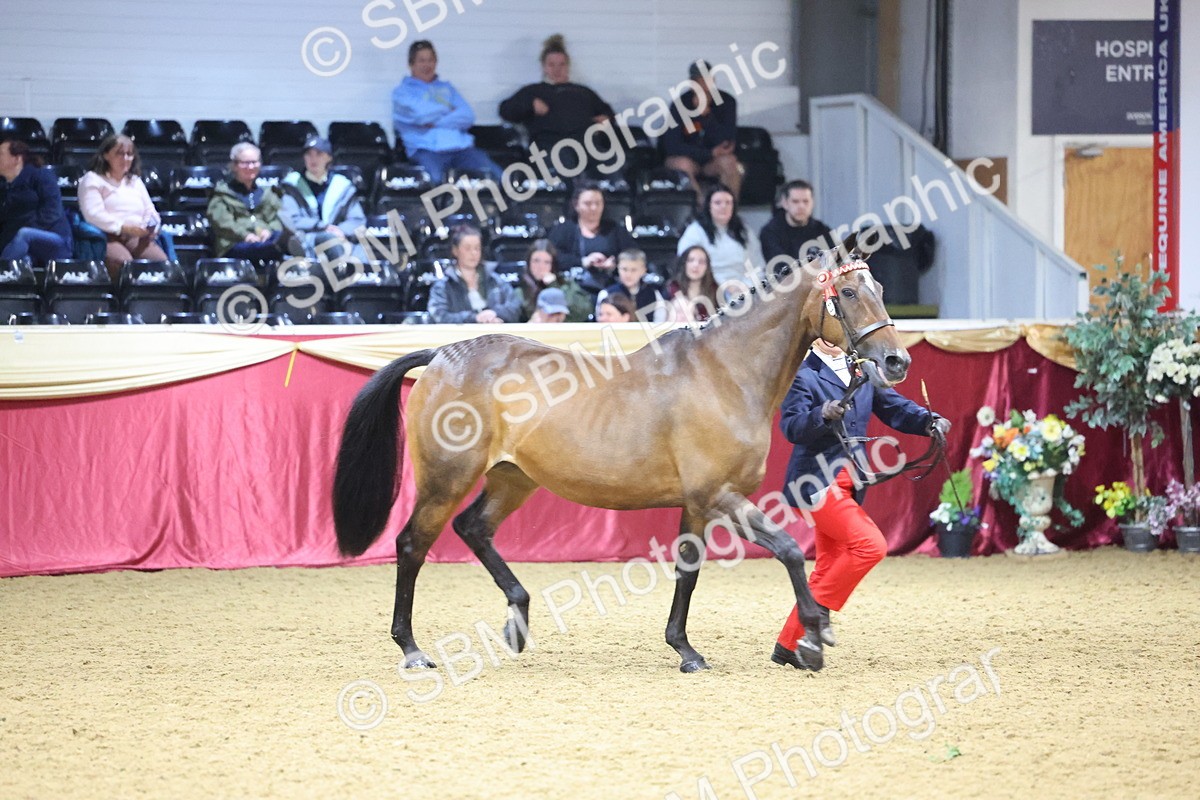 SBM_18927 - Class F Grass Roots Champ