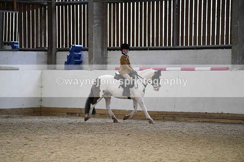 WJ5_7382 - Class 11 Ridden PC - RC Pony