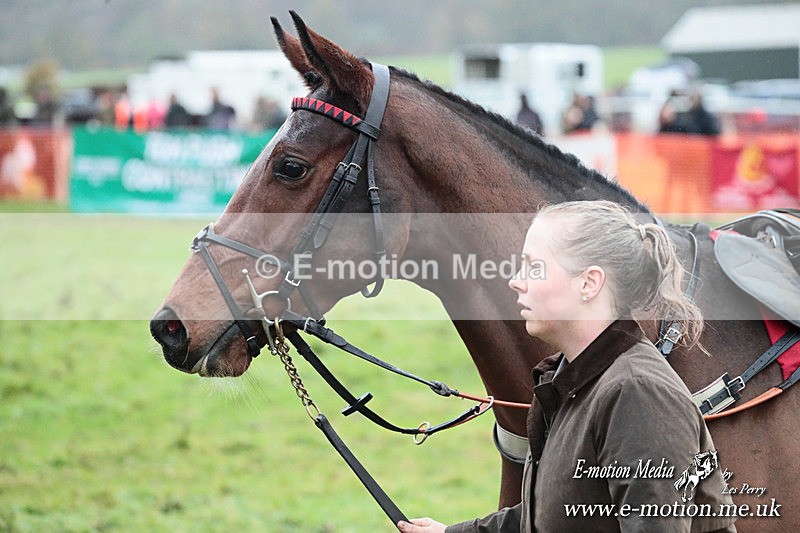 PtP 091125  1195 - Point-to-Point Wales Area Club Lower Machen, Gwent 09/11/25