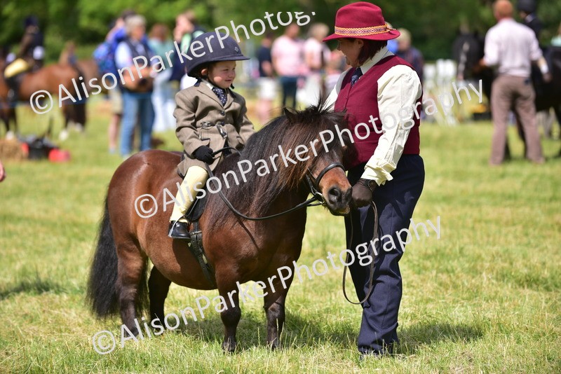 20260614-1246 - Class 11a - Lead Rein Pony (Unplaited)